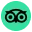 TripAdvisor Reviews
