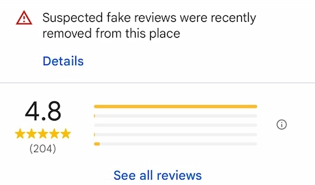 Google detecting a Google review bot
