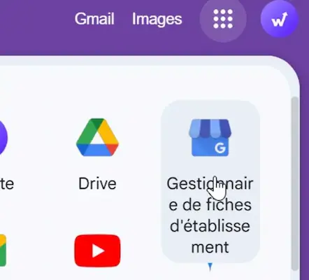Access to the business profile manager to optimize a Google Business Profile