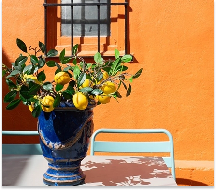 Italova terrace: blue vase filled with lemons on a table against an orange wall