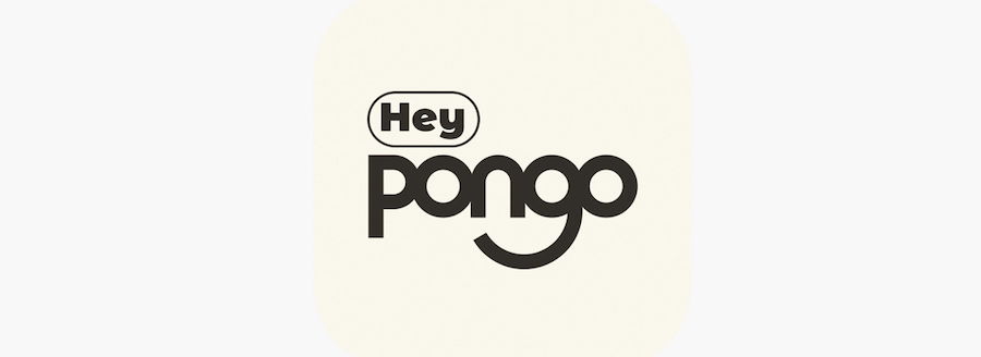 Heypongo le meilleur outil pour booster vos avis Google